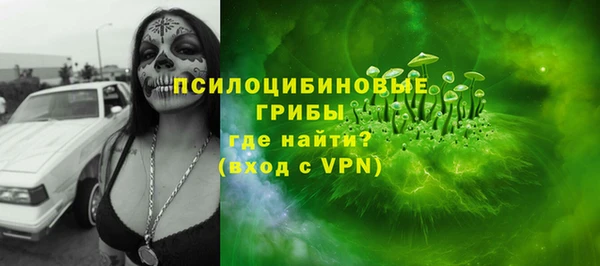 соль ск Белокуриха