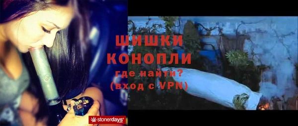 соль ск Белокуриха