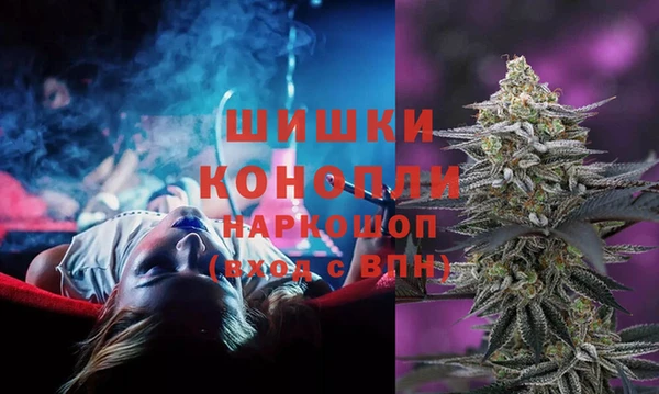 соль ск Белокуриха