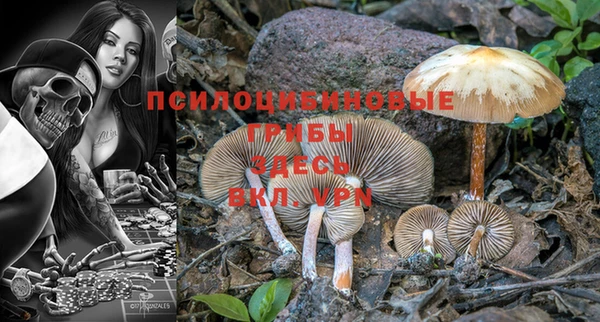 соль ск Белокуриха