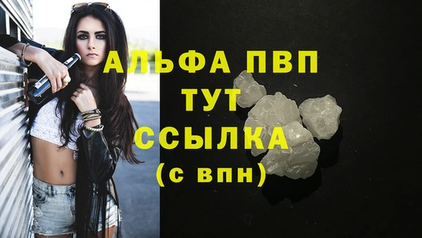 крисы Беломорск