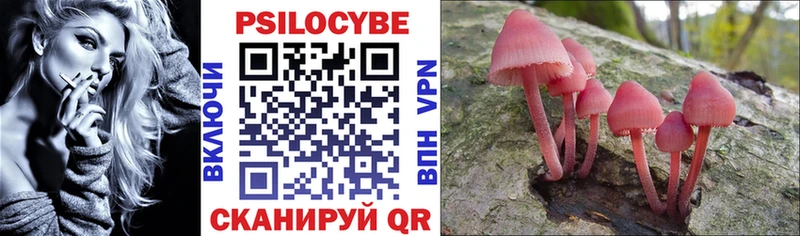 Купить где Вяземский Галлюциногенные грибы ЛСД